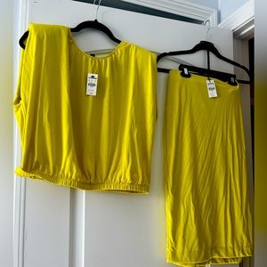 NWT! Cute Express Top and Skirt